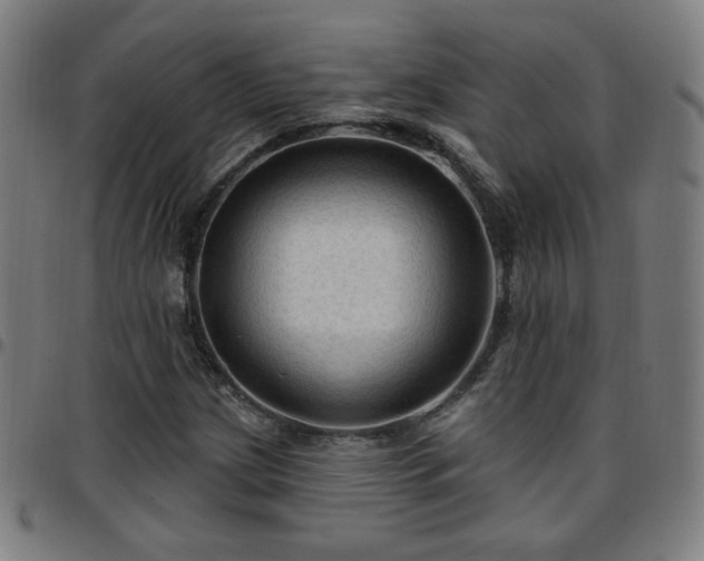 X0000097651209200803071501