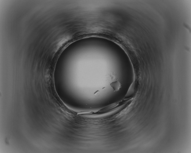 X0000097651210200803071501