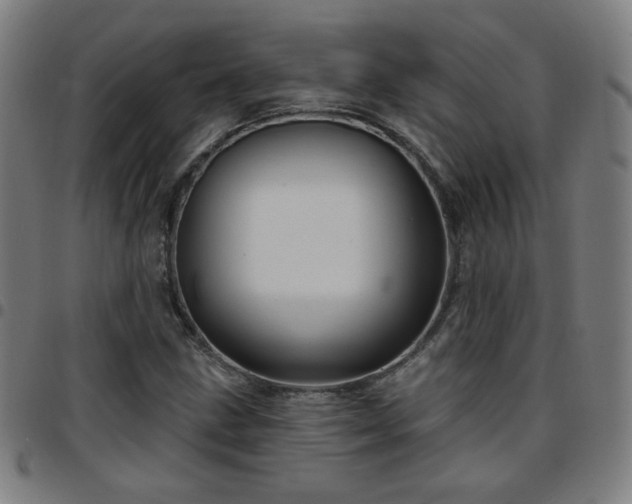 X0000097651211200803071501