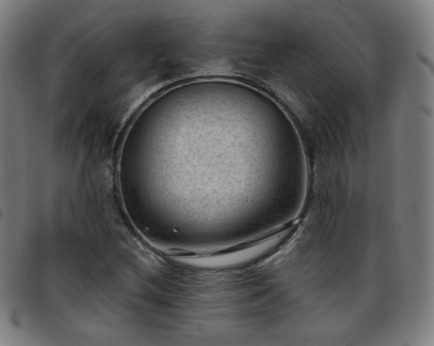 X0000097651212200803071501