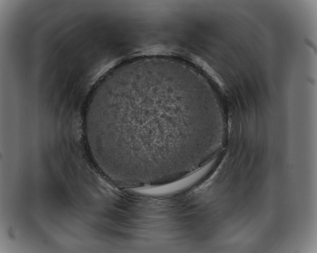 X0000097651213200803071501