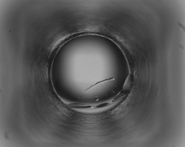 X0000097651214200803071501