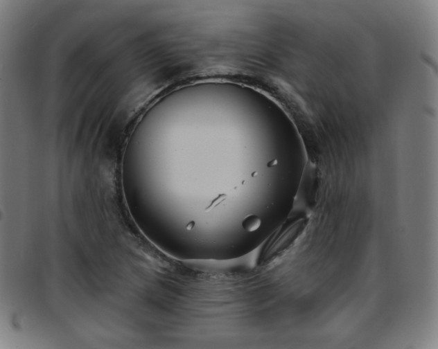 X0000097651217200803071501