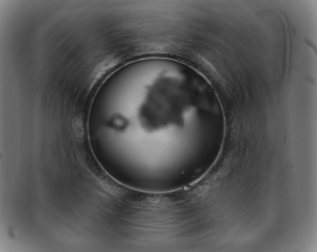 X0000097651218200803071502