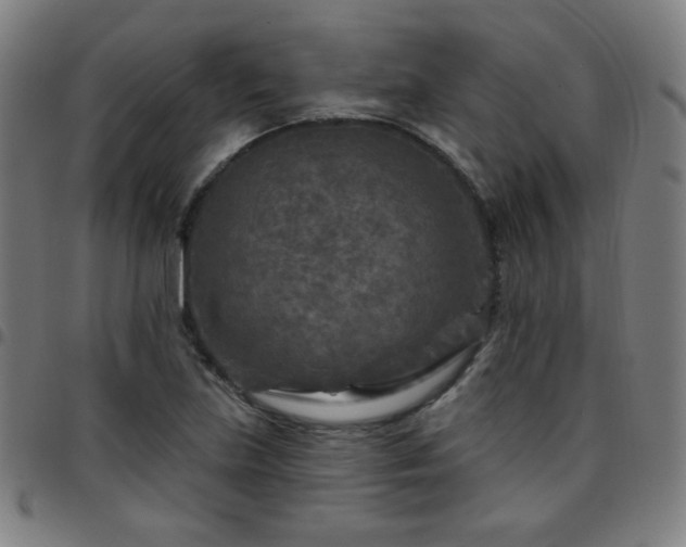 X0000097651219200803071502