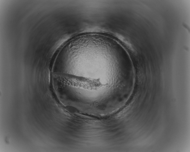 X0000097651221200803071502