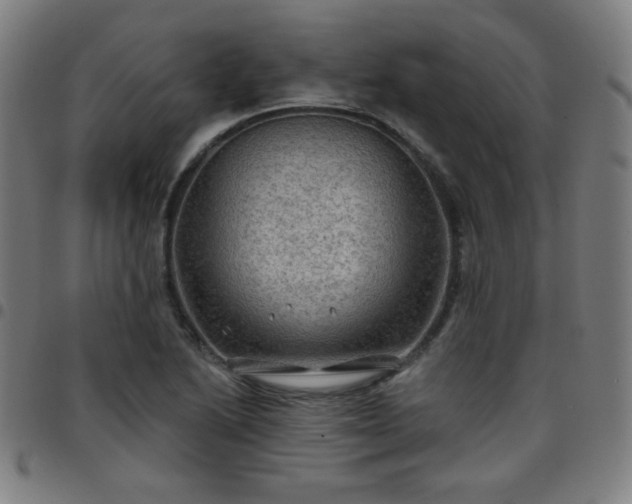 X0000097651222200803071502