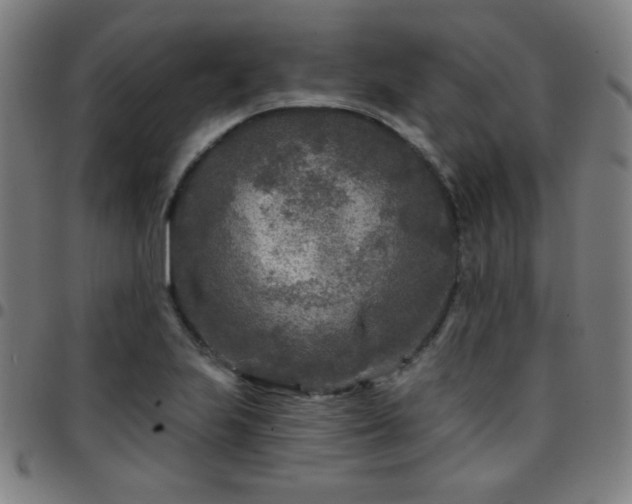 X0000097651223200803071502