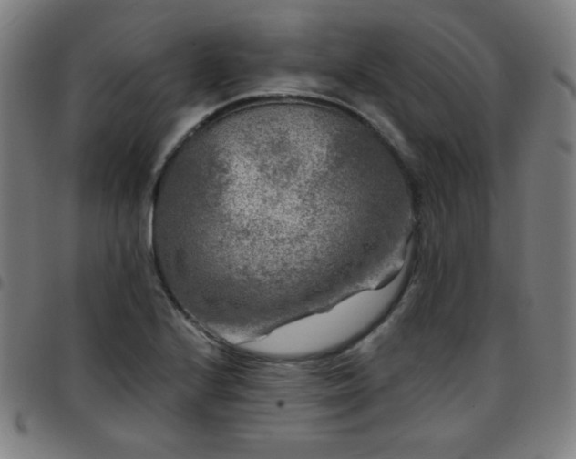 X0000097651224200803071502