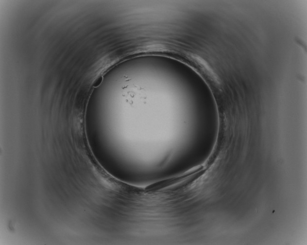 X0000097651225200803071502