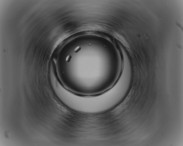 X0000097651226200803071502