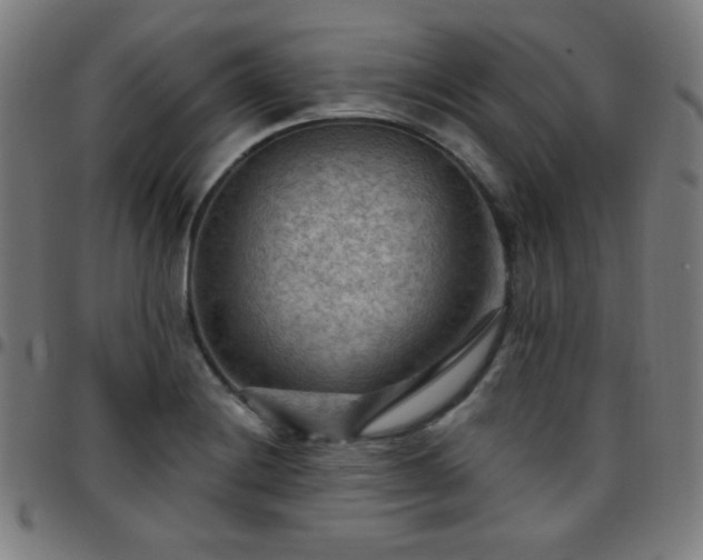 X0000097651228200803071502