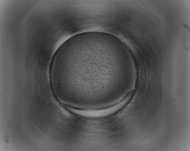 X0000097651230200803071502