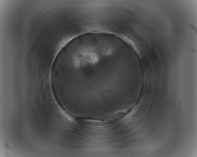 X0000097651231200803071502