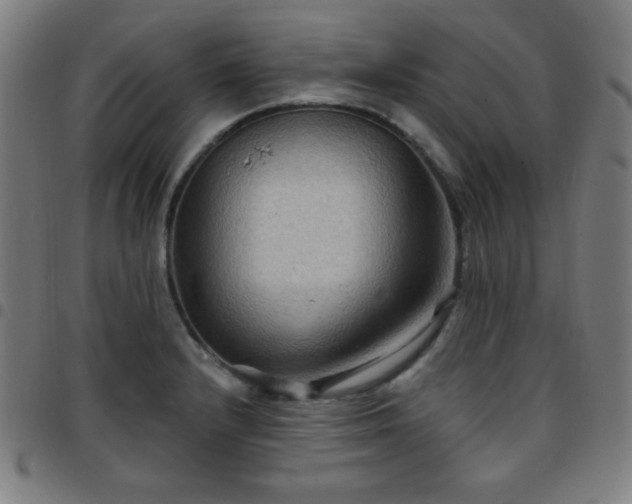 X0000097651232200803071502