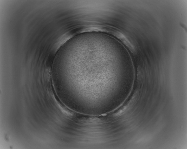 X0000097651233200803071502