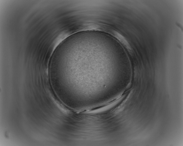 X0000097651234200803071502