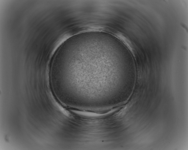 X0000097651235200803071502