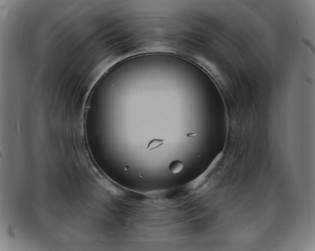 X0000097651236200803071502