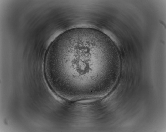 X0000097651237200803071502