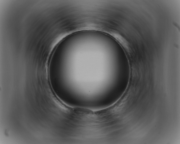 X0000097651238200803071502