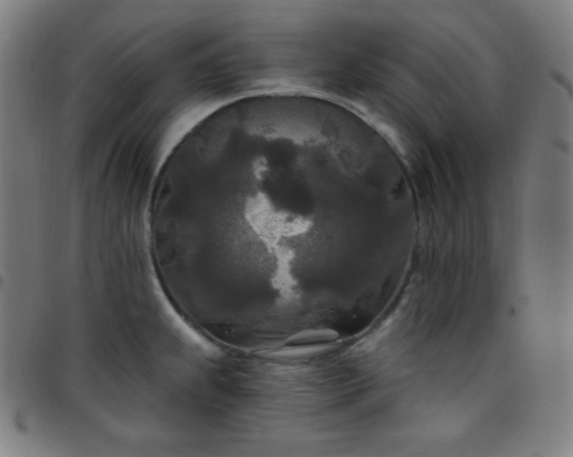 X0000097651239200803071502