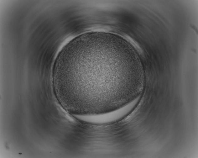 X0000097651240200803071502