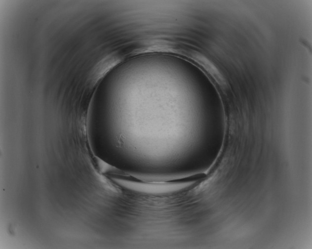 X0000097651241200803071502