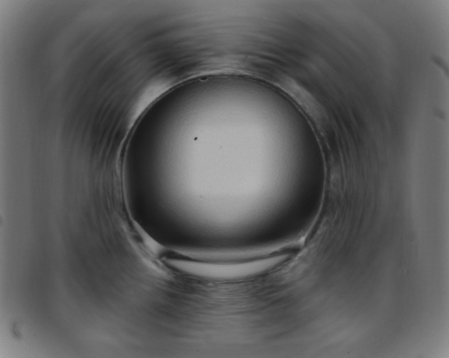 X0000097651242200803071502