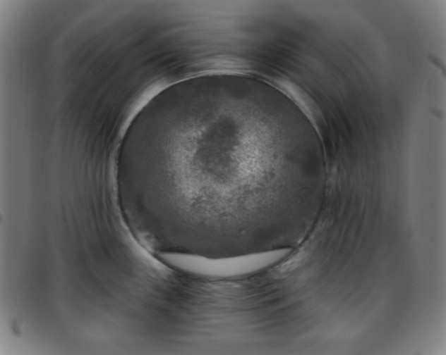 X0000097651243200803071502