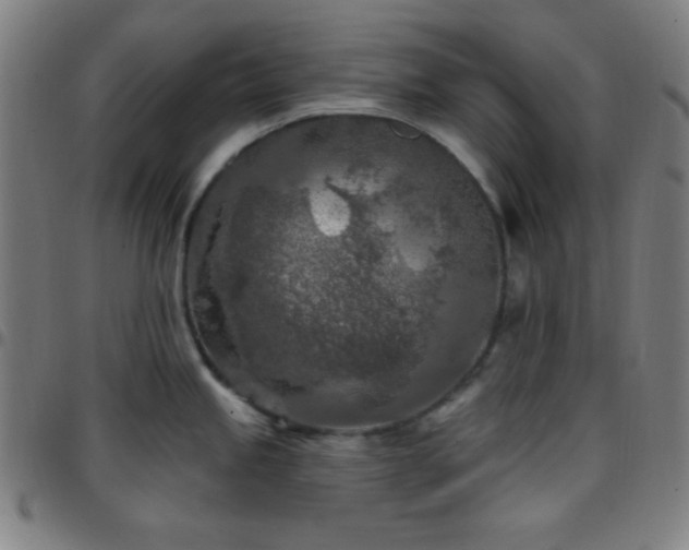 X0000097651245200803071502