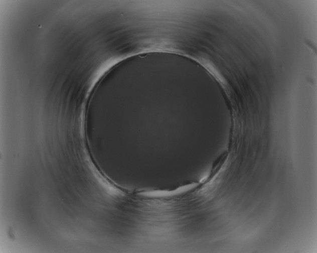 X0000097651246200803071502