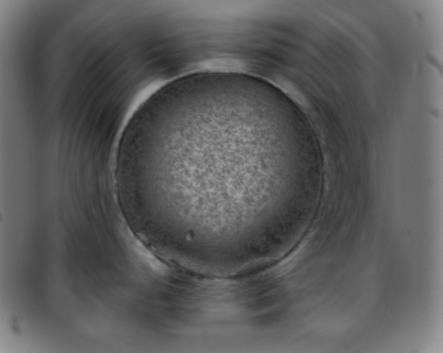 X0000097651248200803071502