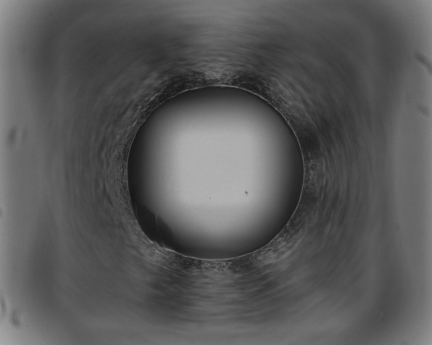 X0000097651249200803071501