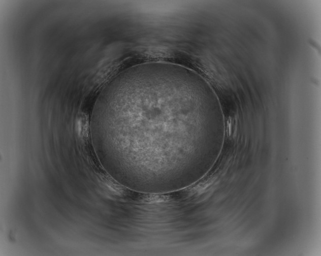 X0000097651251200803071501