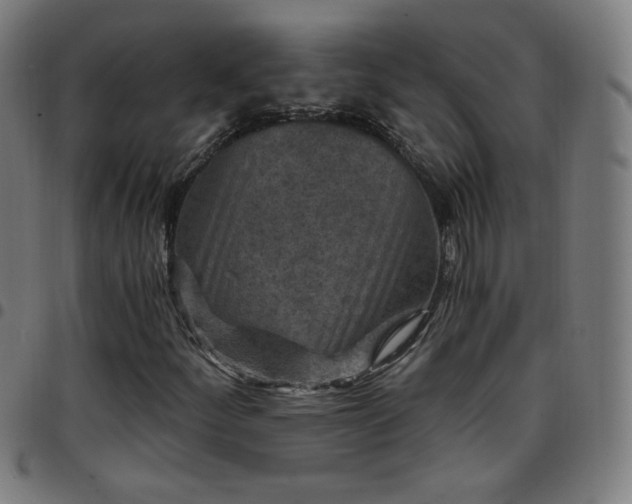 X0000097651252200803071501