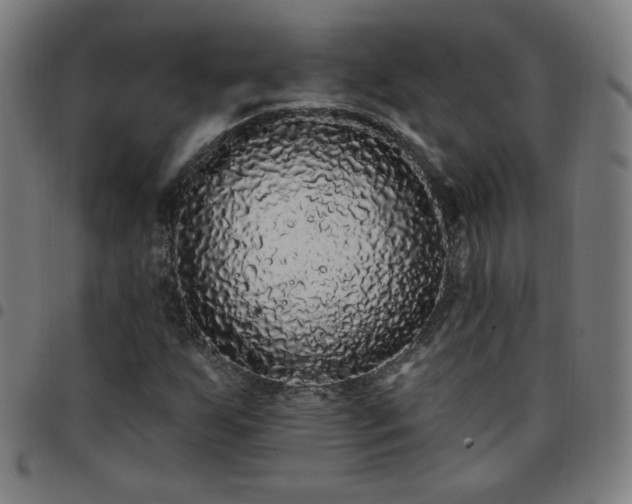 X0000097651255200803071501