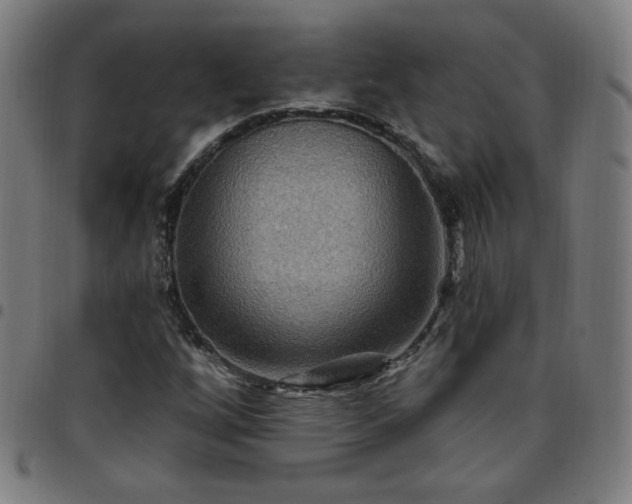 X0000097651256200803071501