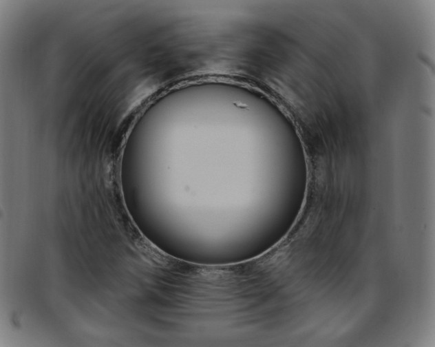 X0000097651258200803071501