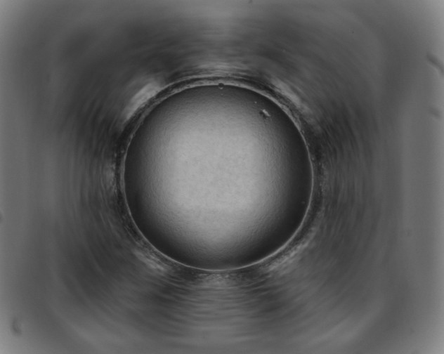 X0000097651259200803071501