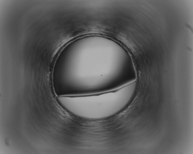 X0000097651260200803071501