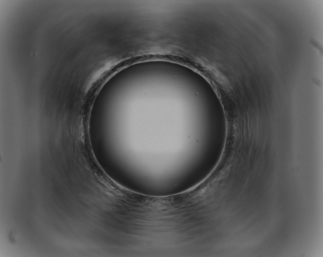 X0000097651262200803071501