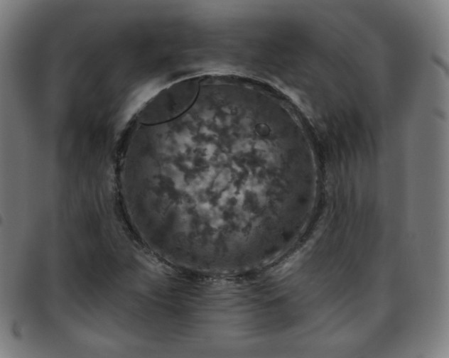 X0000097651263200803071501