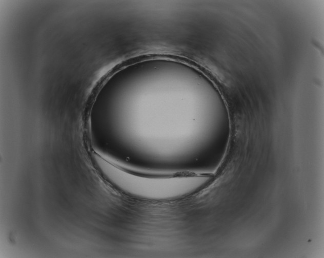 X0000097651264200803071501