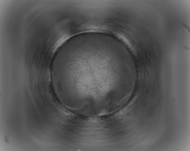 X0000097651267200803071501