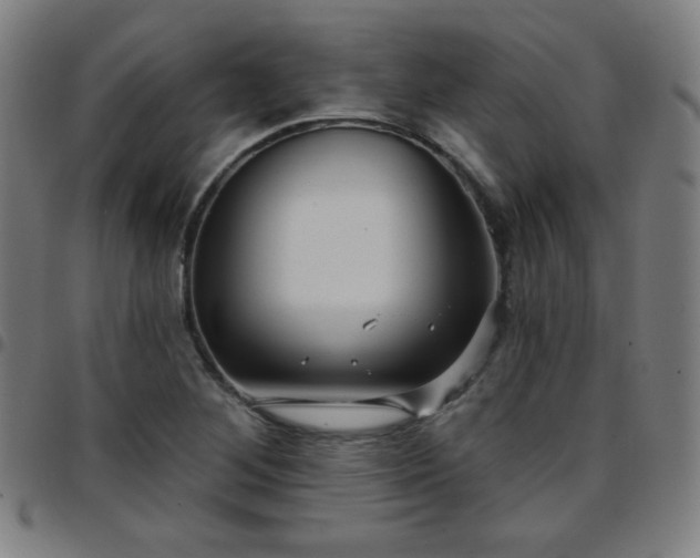 X0000097651268200803071501