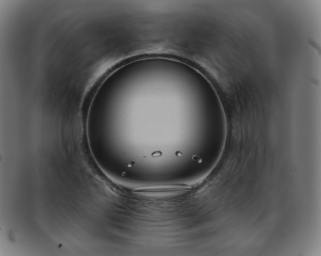 X0000097651270200803071501