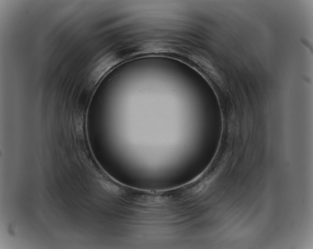 X0000097651273200803071501