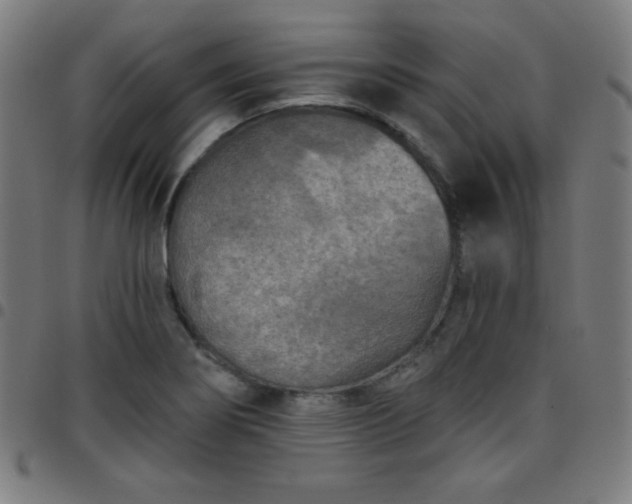 X0000097651274200803071501