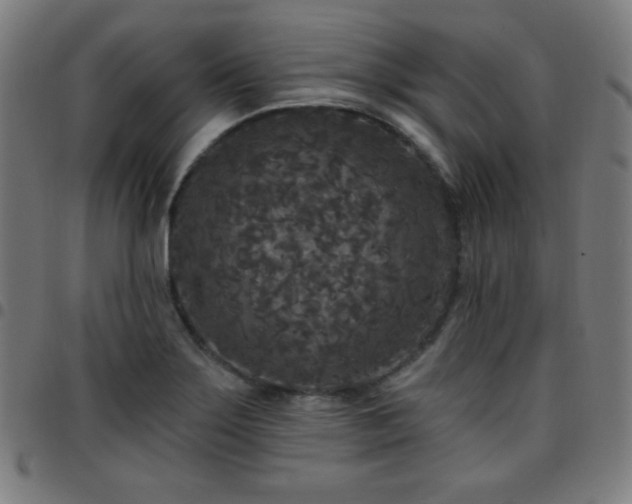 X0000097651275200803071501